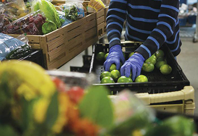 Farmers Market Program