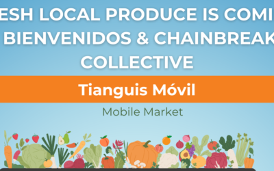 Tianguis Pop-Up with Bienvenidos + Chainbreakers May 27th